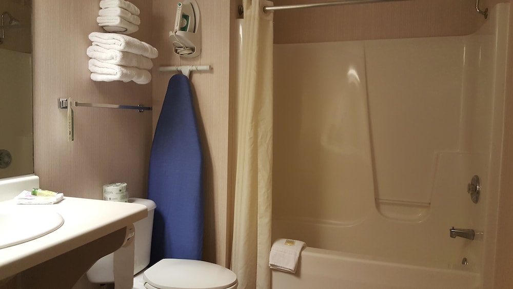 Room, 1 King Bed, Non Smoking, Jetted Tub