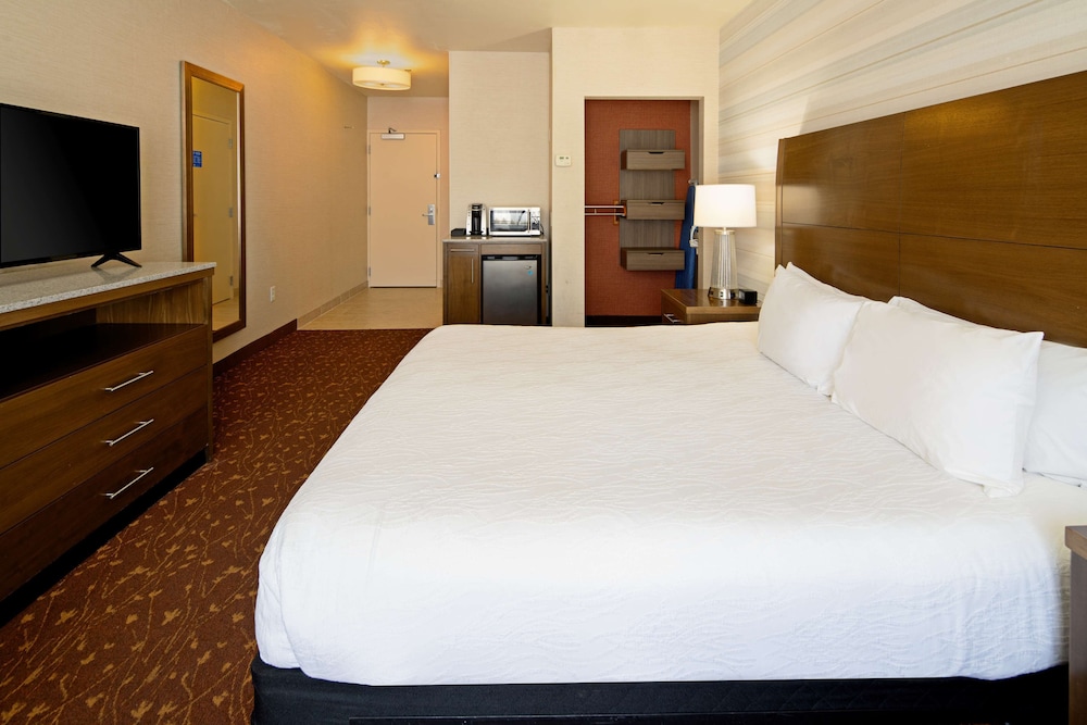 Room, 1 King Bed, Accessible photo 2