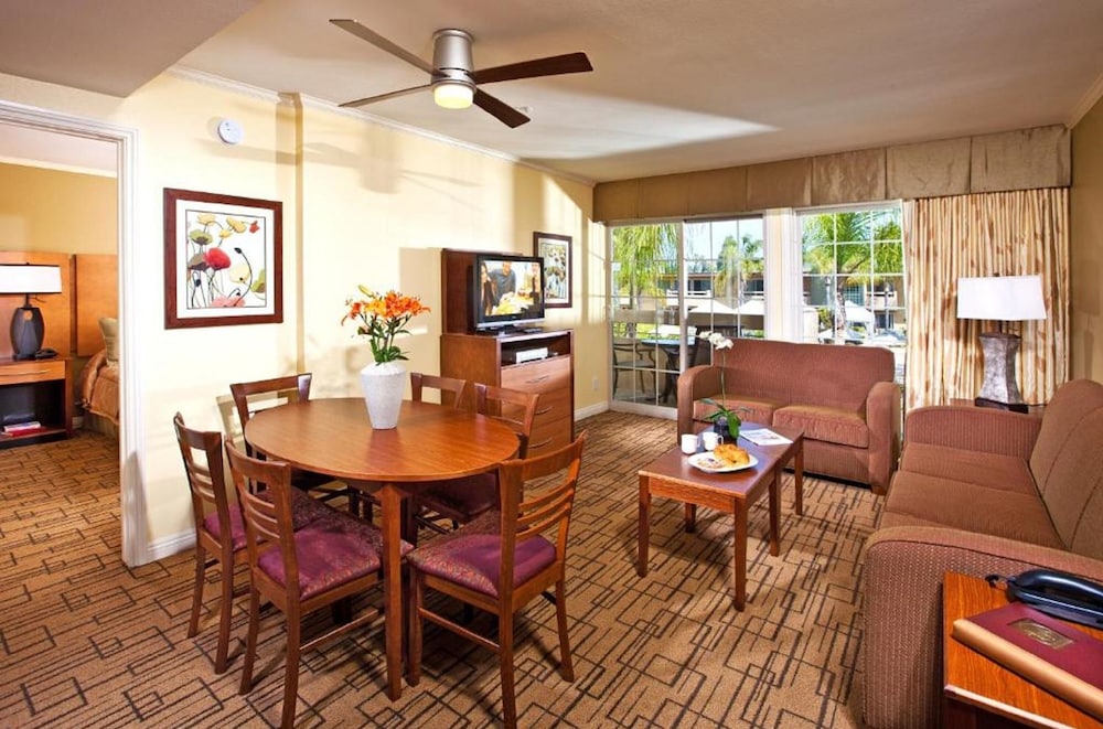 Luxury Condo, 1 King Bed with Sofa bed