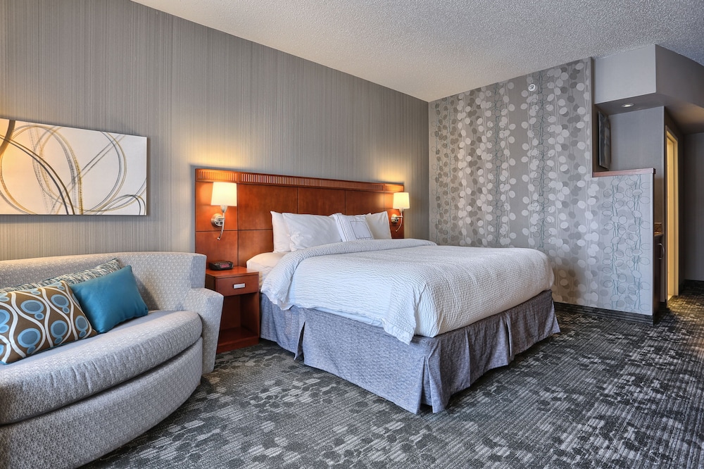 Standard Room, 1 King Bed with Sofa bed (Mobility/Hearing Access, Roll-In Shwr)