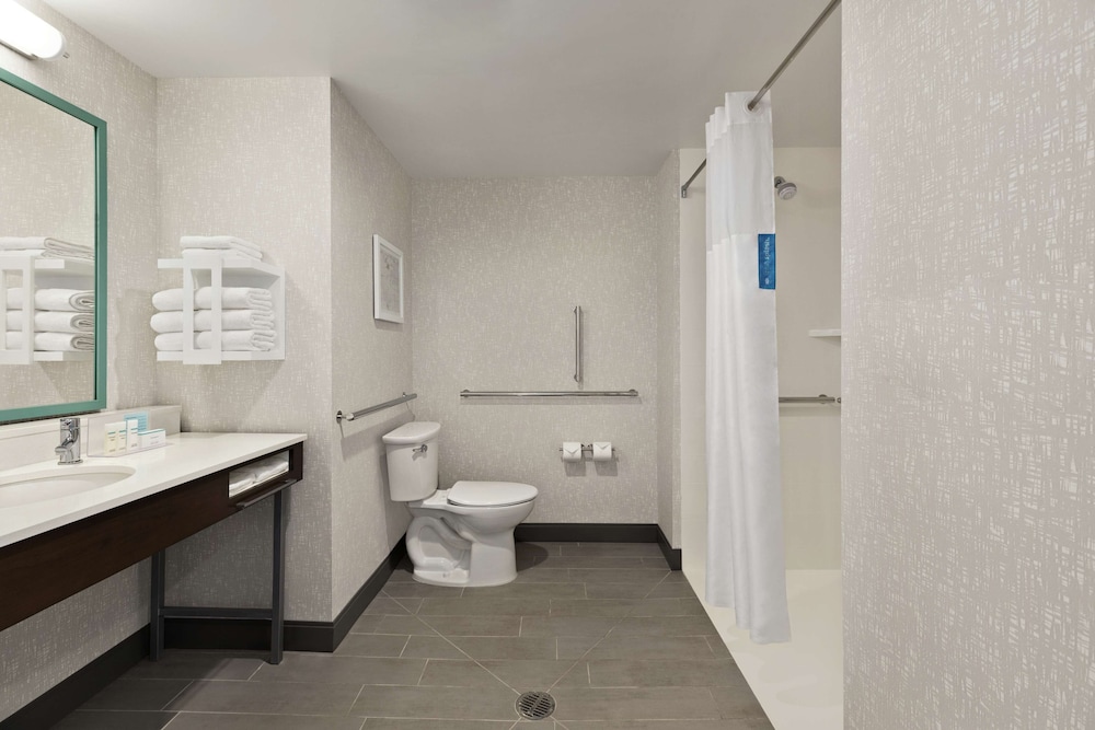Room, 1 King Bed, Accessible (Roll-In Shower) - Photo 7