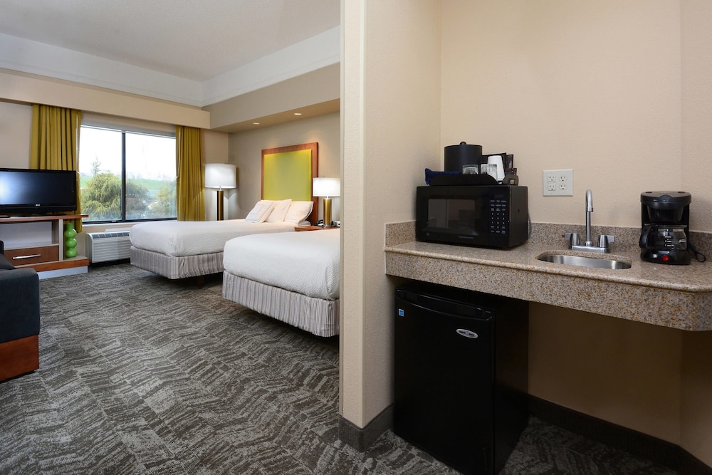 Studio, Multiple Beds (Mobility/Hearing Access, Roll-In Shwr) photo 1