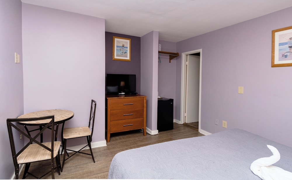 Traditional Studio, 1 King Bed photo 3