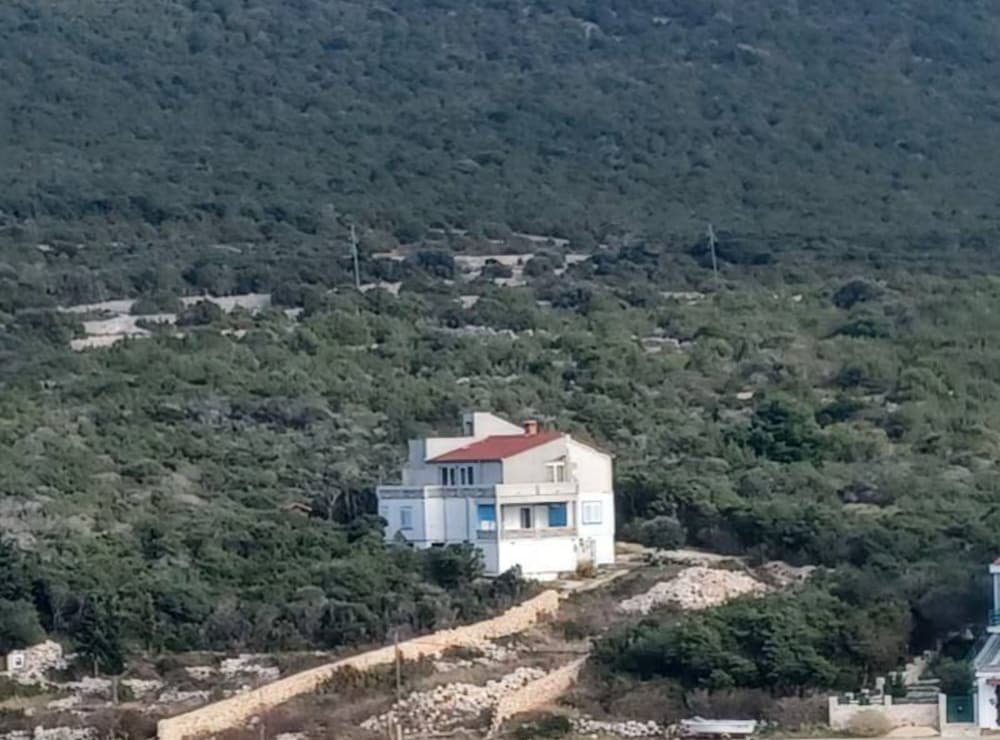Apartment (Three Bedroom Apartment With Terrace )