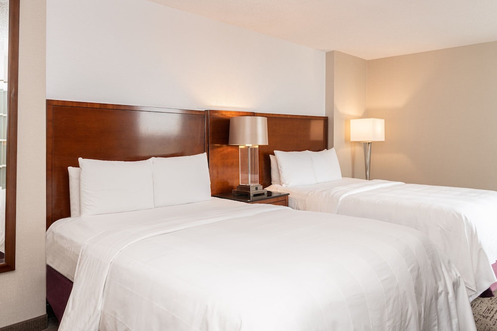 Suite, 1 Bedroom - Photo 9
