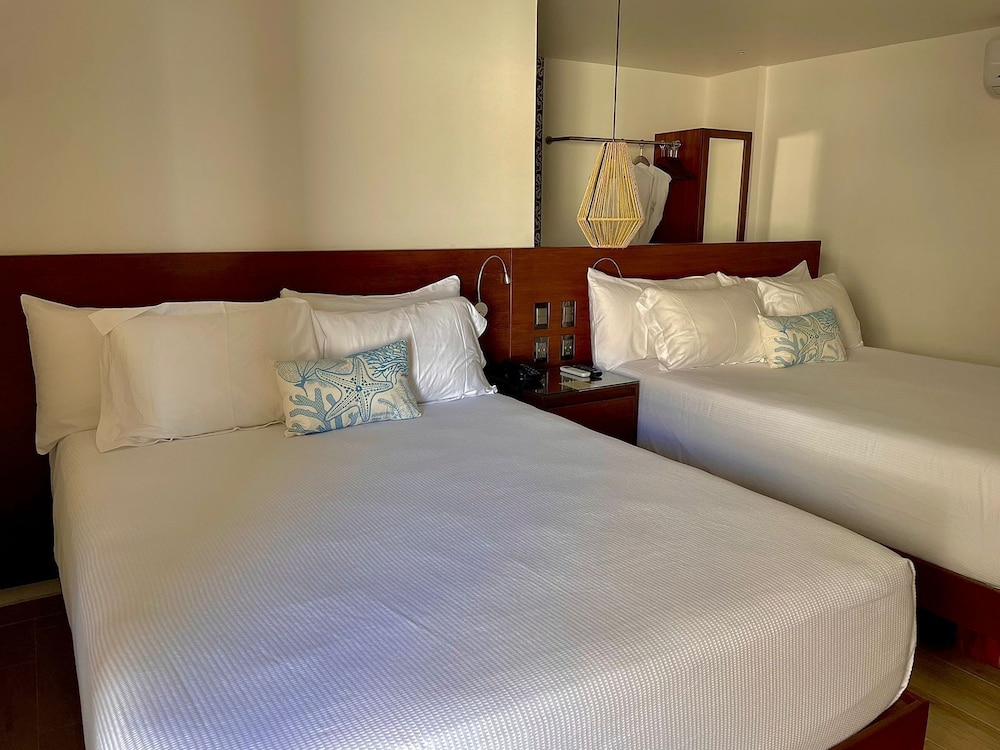 Comfort Suite - Photo 6