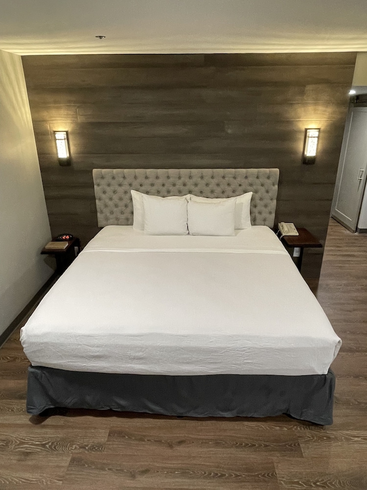 Premium Studio Suite, 1 King Bed With Sofa Bed photo 1