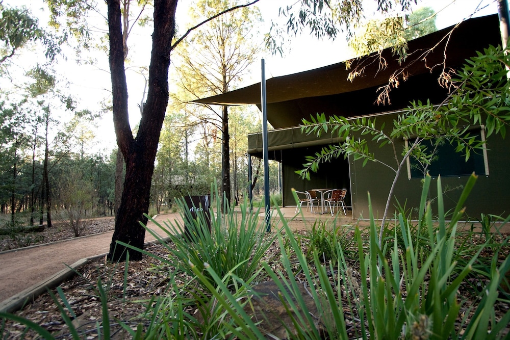 Bushland View Lodge photo 3