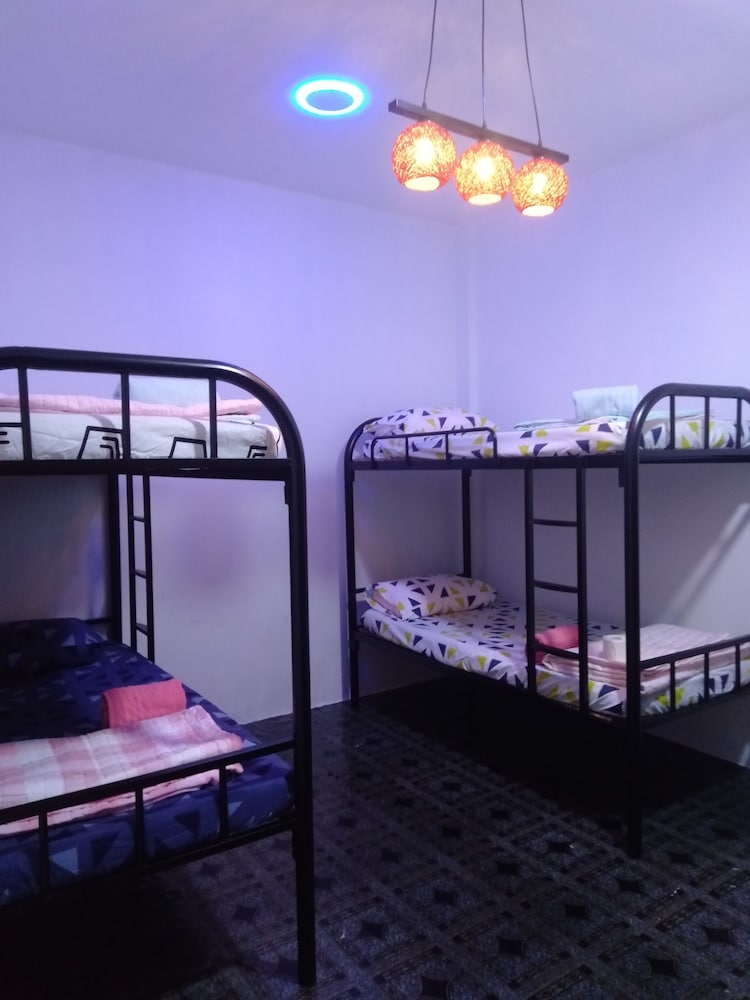 6-Bed Mixed Dorm photo 1
