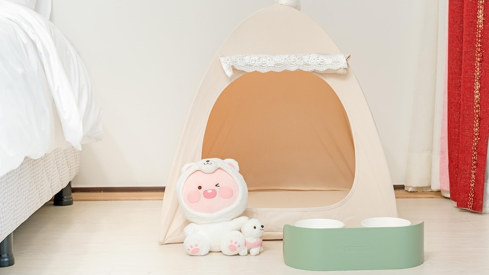 Basic Room, 1 Bedroom (Pomer 2) - Photo 8