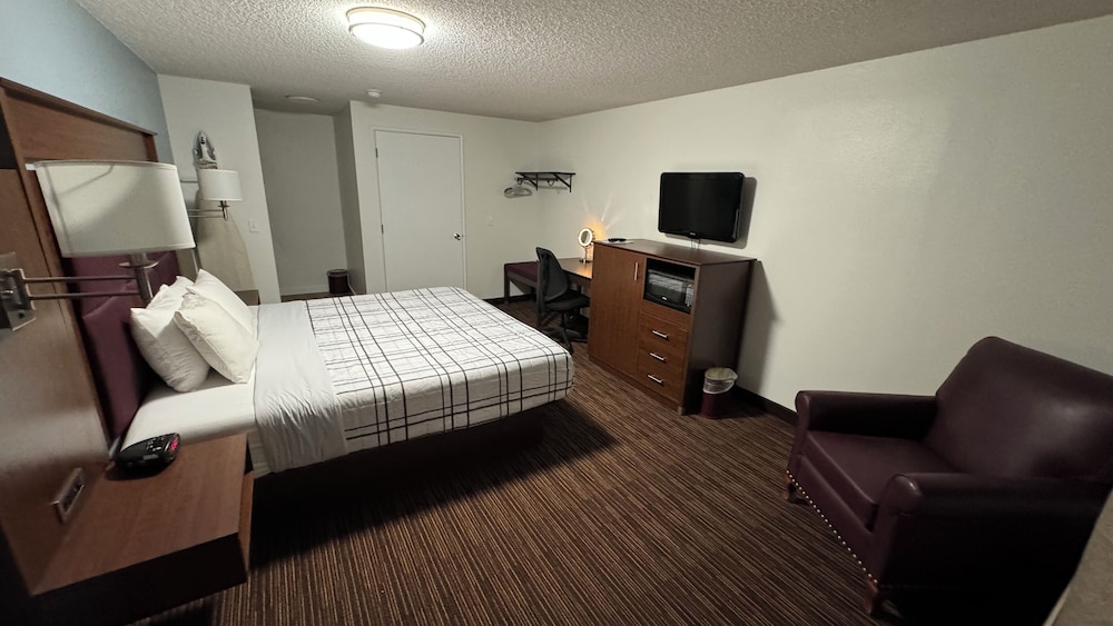 Standard Single Room, 1 King Bed - Photo 1