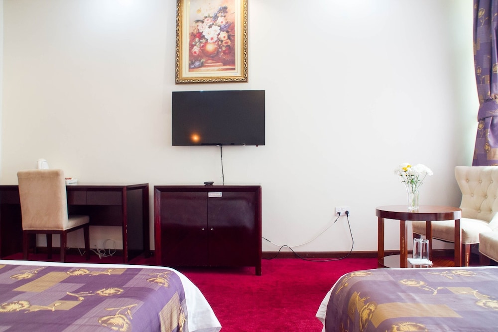 Deluxe Double or Twin Room photo 2