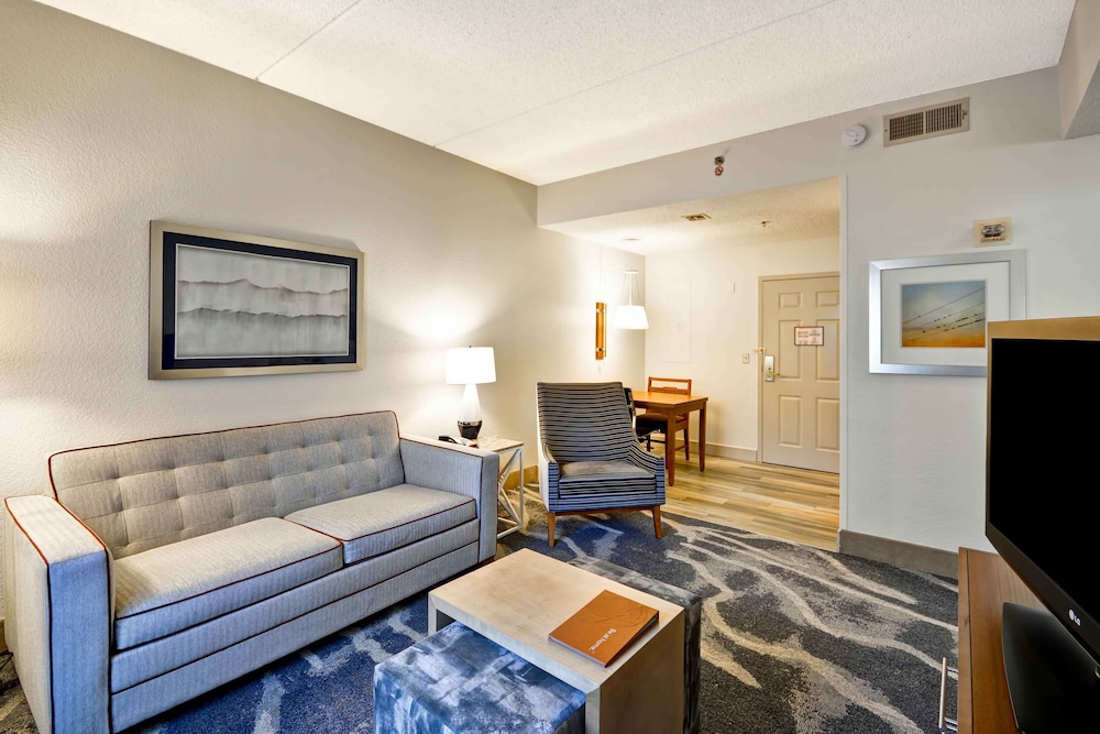 Suite, 1 King Bed with Sofa bed, Accessible (Bathtub)