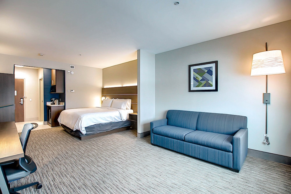 Suite, 1 King Bed - Photo 3