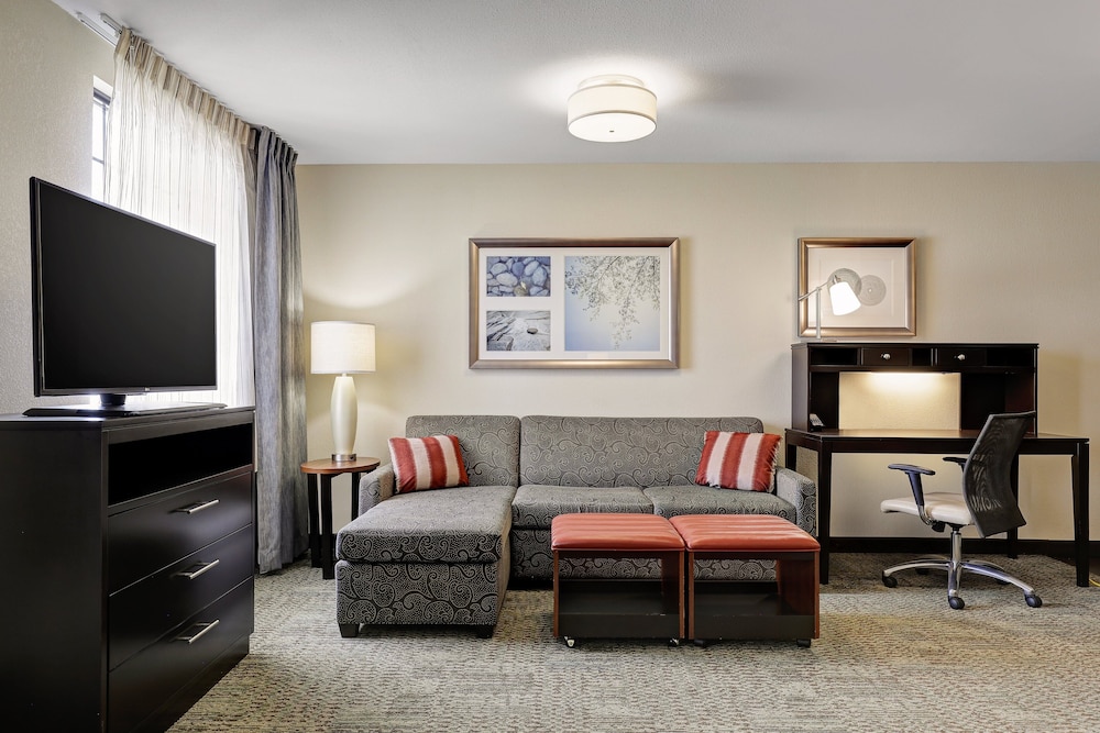 Studio Suite, 1 Queen Bed, Kitchen (Den)
