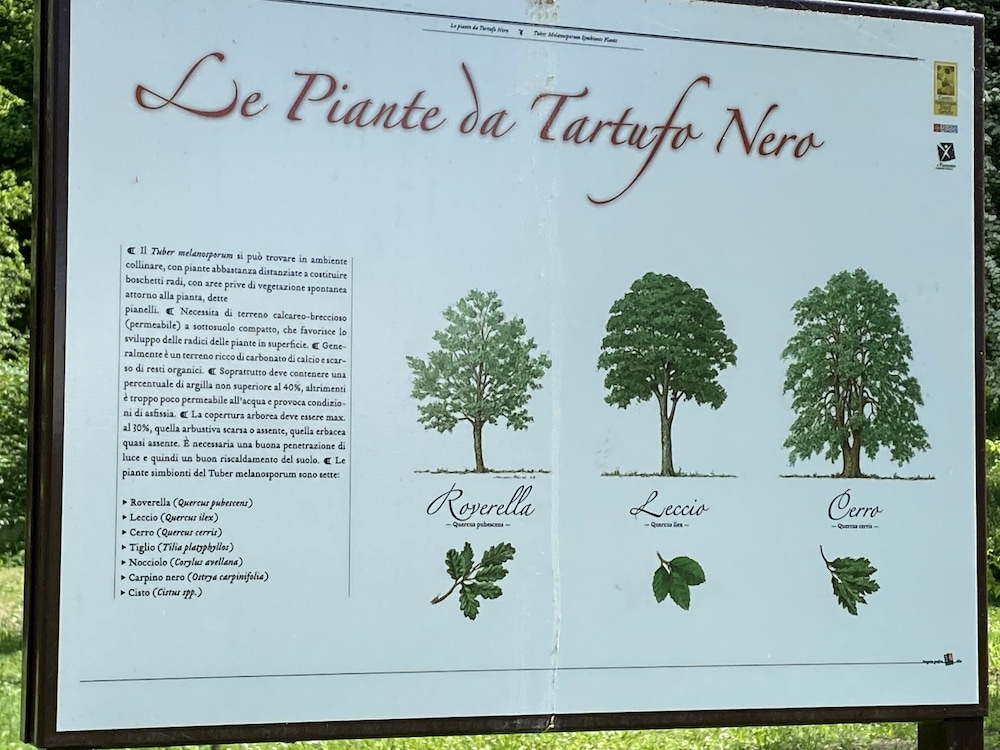 Appartamento Roero Cottage 3, Billede 6