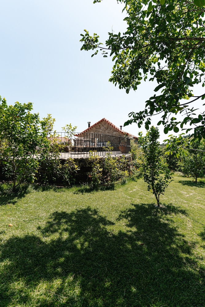 Family Villa photo 3