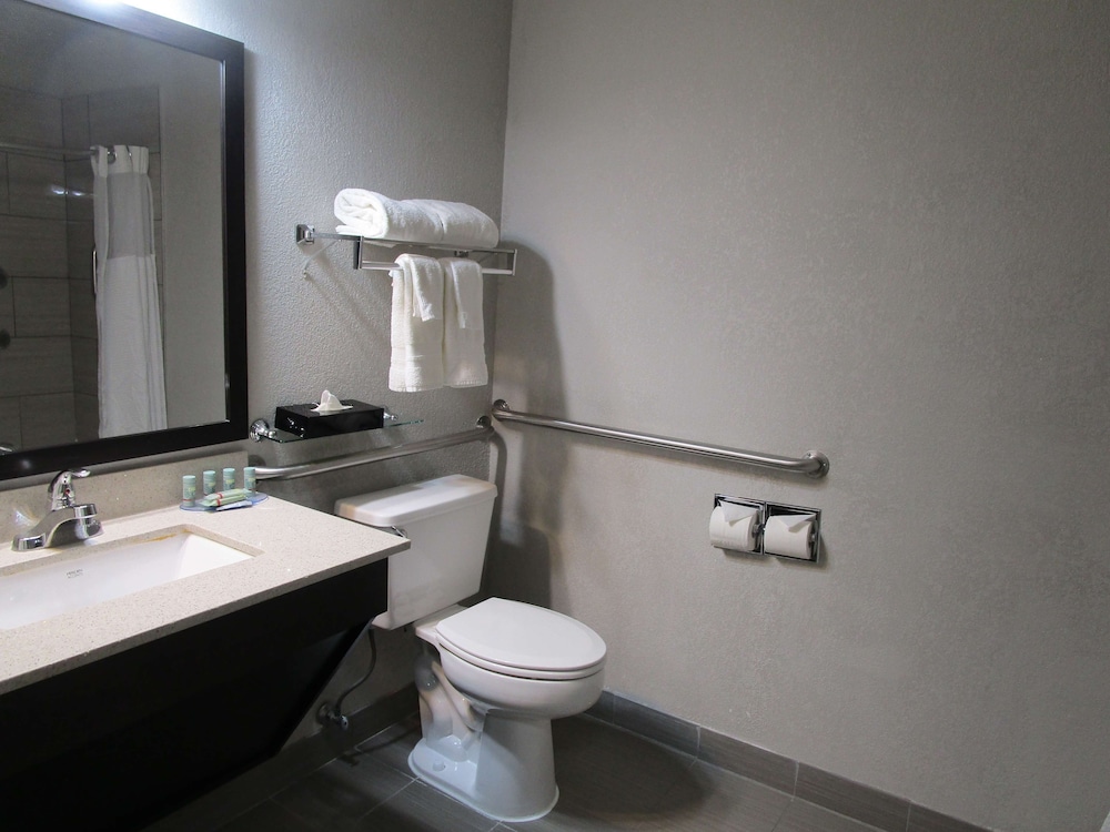 Standard Room, 1 King Bed, Accessible, Bathtub - Photo 4