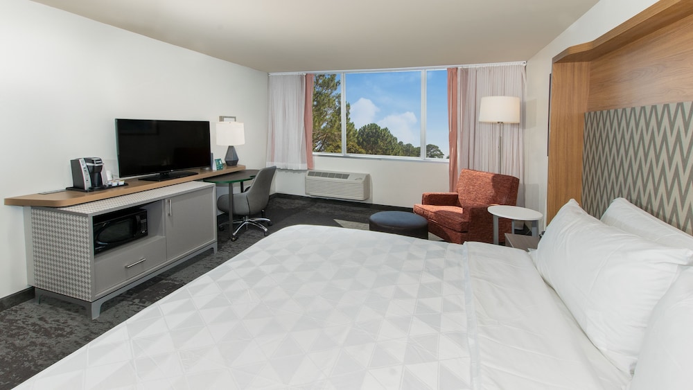 Standard Room, 1 King Bed, Accessible (Comms, Mobil, Access Tub) - Photo 3