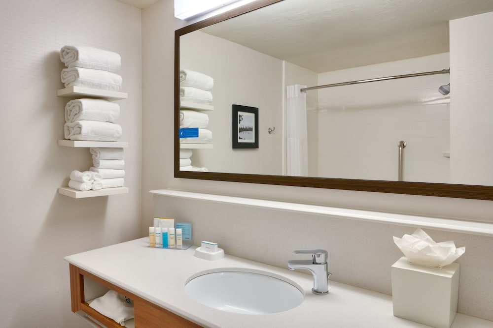 Room, 1 King Bed, Accessible (Roll-In Shower) - Photo 6