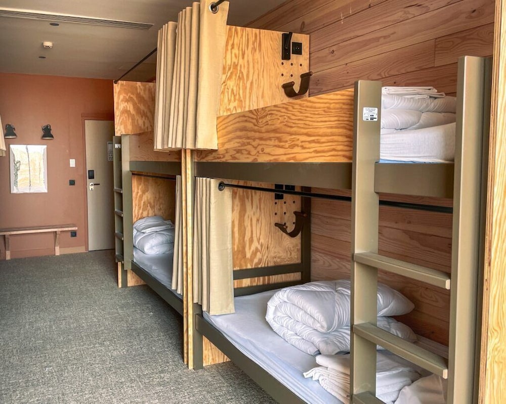 Standard Shared Dormitory photo 1