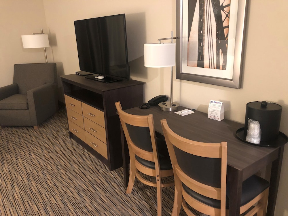 Suite, 1 King Bed (Single King) photo 1