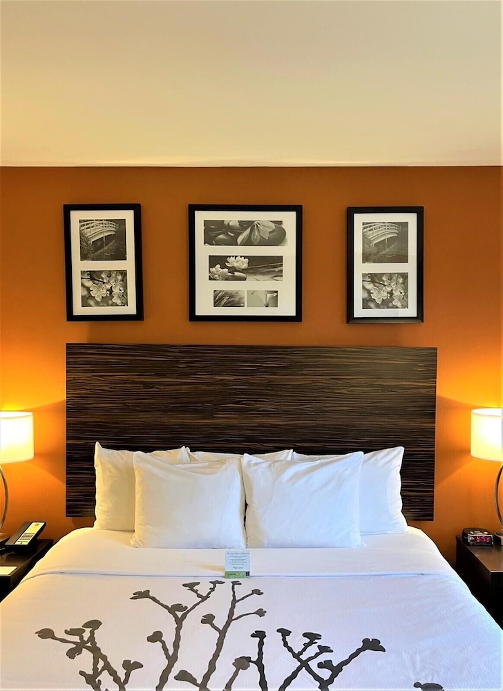 Standard Room, 1 King Bed, Non Smoking, City View photo 2