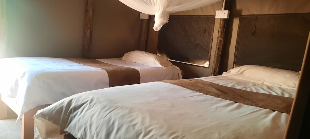 Luxury Tent, Courtyard View photo 3