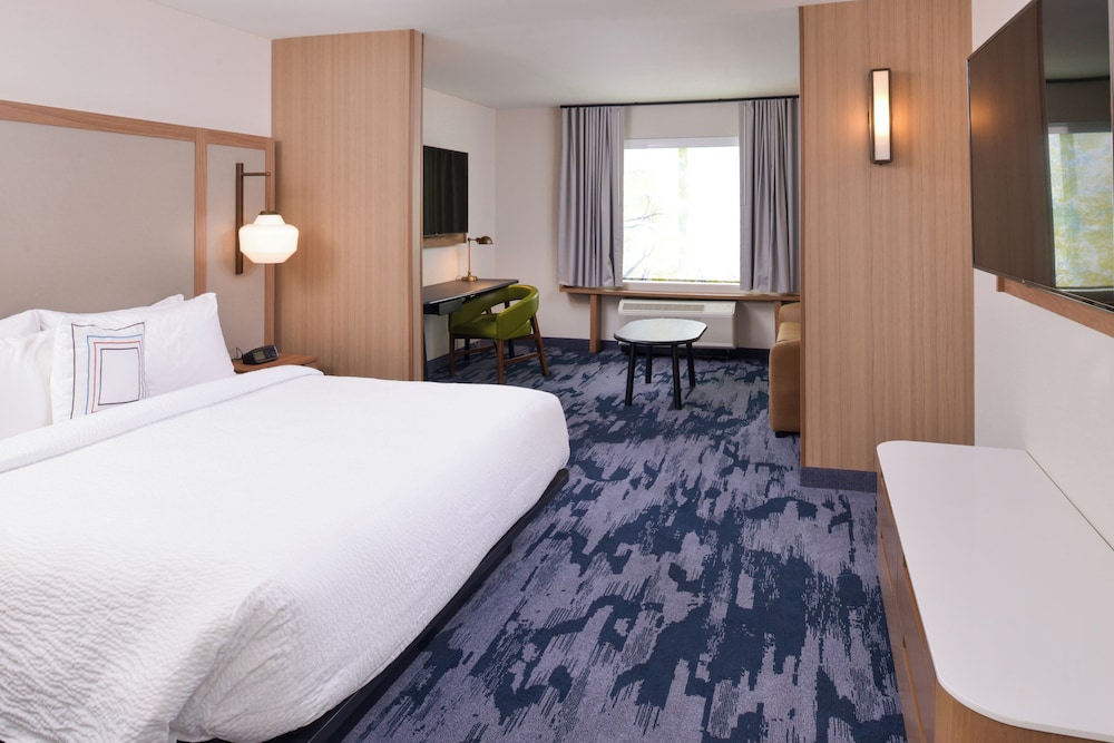 Suite, 1 King Bed with Sofa bed