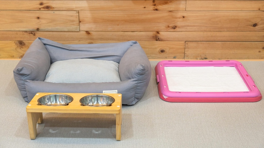 Basic Room, 1 Bedroom (Kids2 (spa)) - Photo 2