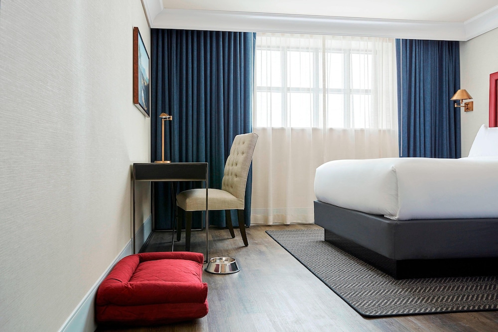 Suite, 1 King Bed with Sofa bed photo 2