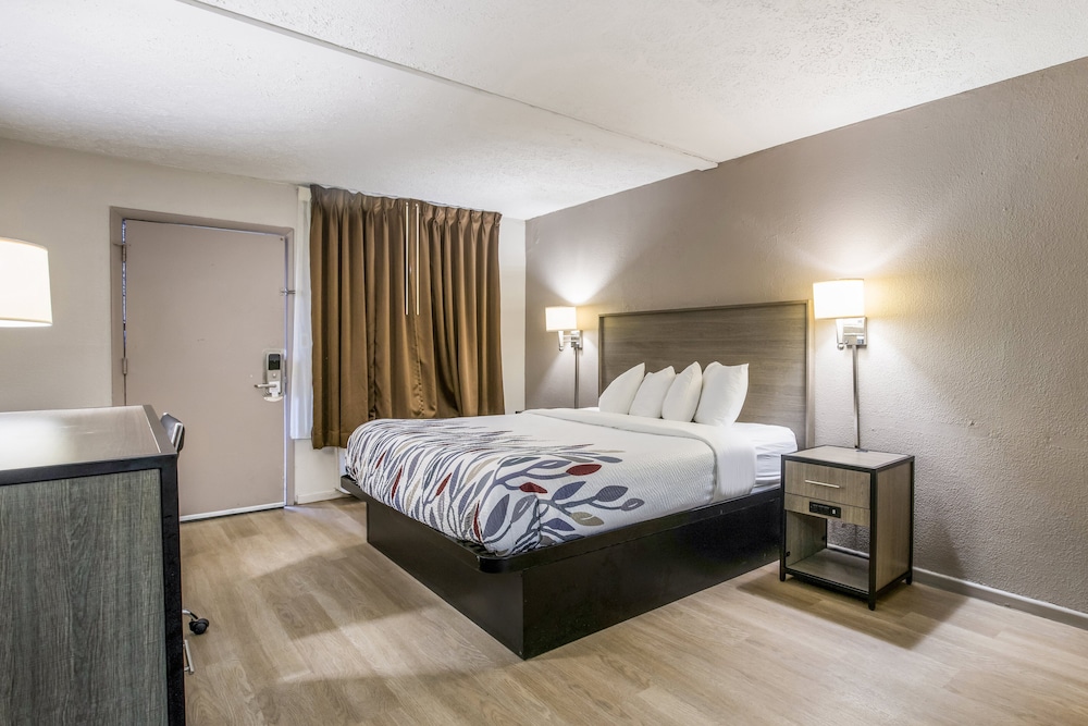 Deluxe Room, 1 King Bed, Accessible, Non Smoking (Roll-In Shower) - Photo 2