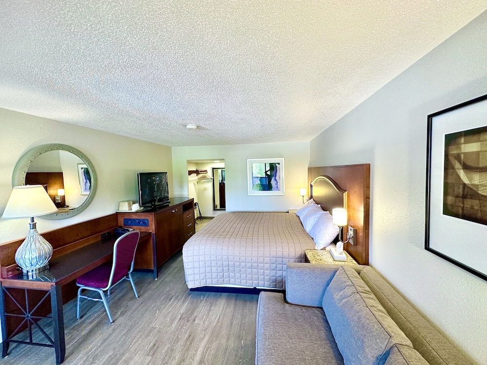 Basic Single Room photo 1