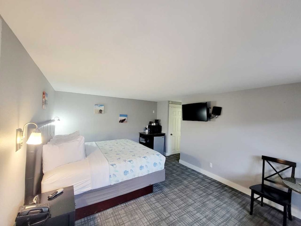 Room, 1 King Bed photo 2
