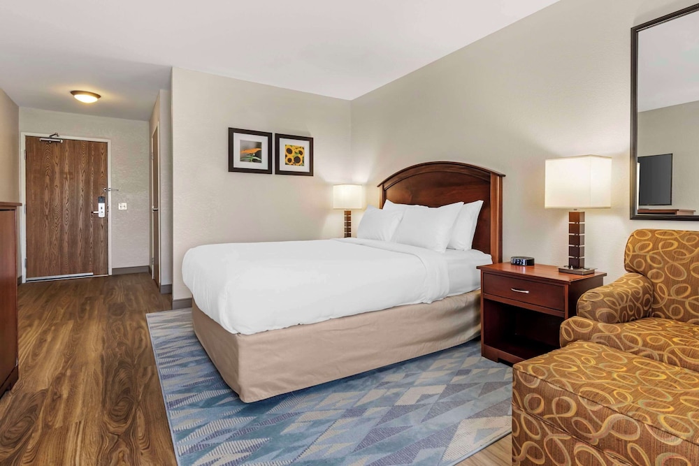 Room, 1 Queen Bed, Accessible, Non Smoking (Roll-In Shower) - Photo 1