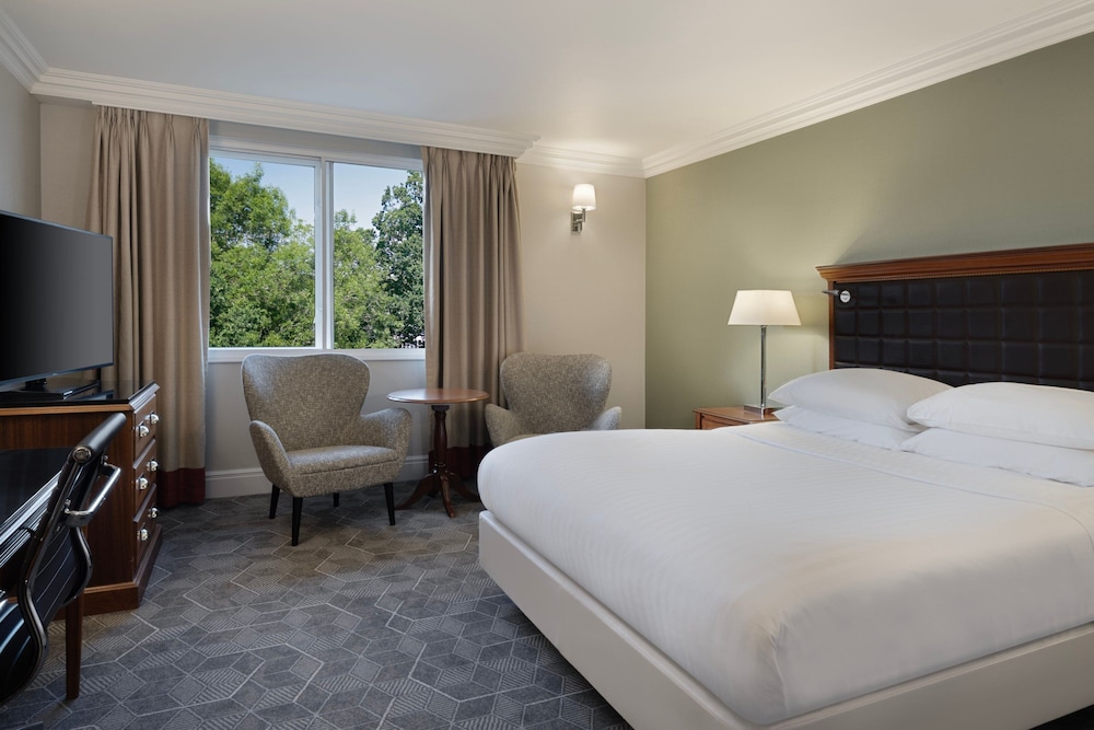 Deluxe Room, 1 Queen Bed photo 3