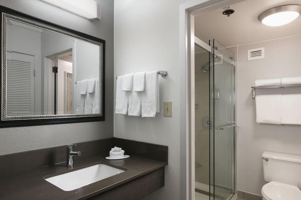 Suite, 1 Bedroom, Balcony, Courtyard View - Photo 7