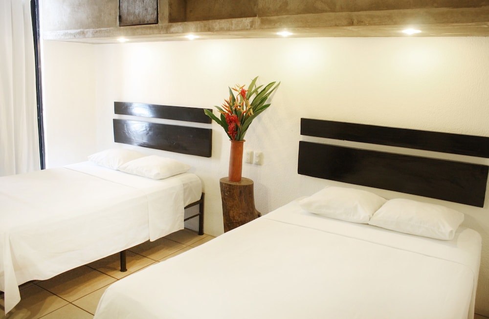 Room, 2 Double Beds photo 2