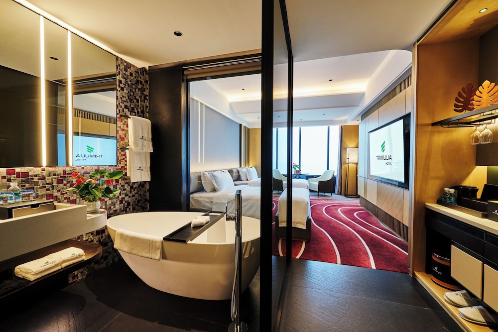 Deluxe Double Room, City View photo 2