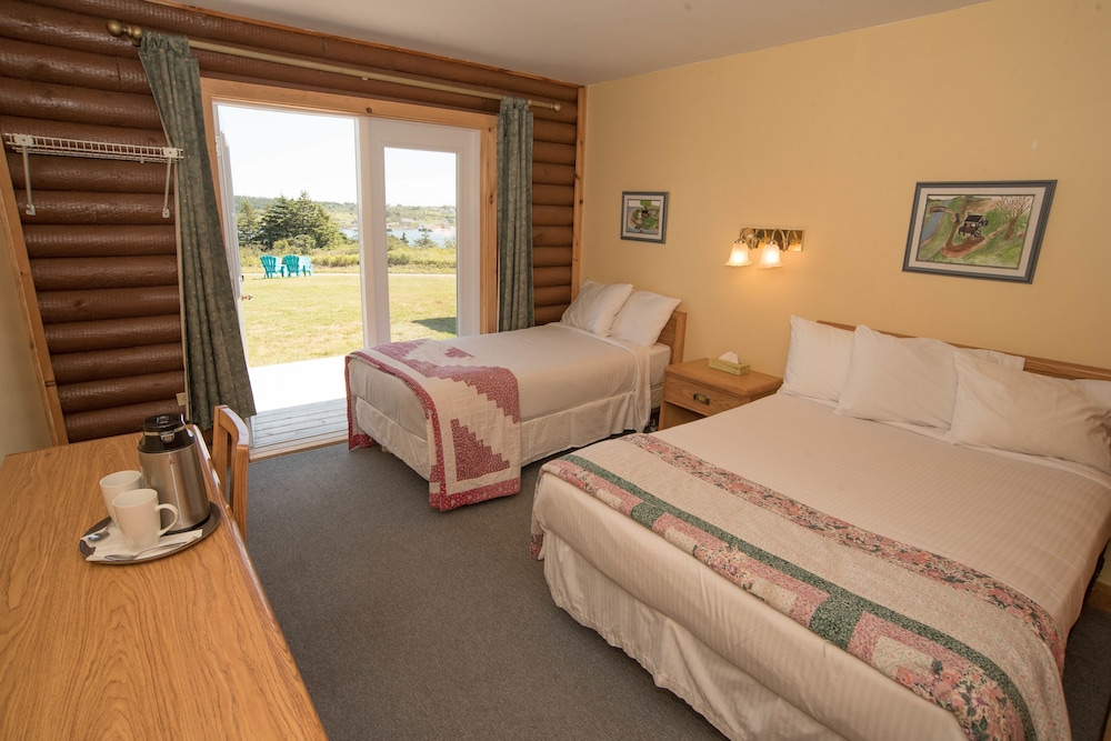 Standard Room, Multiple Beds photo 2