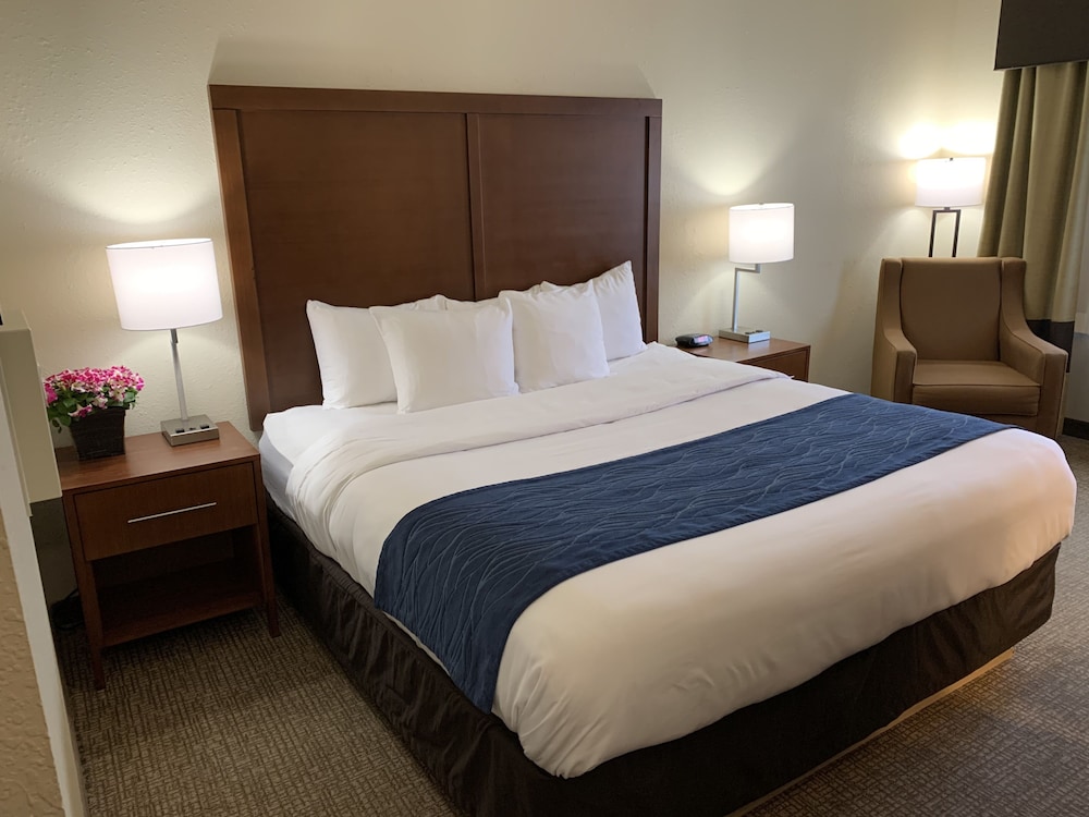 Room, 1 King Bed, Accessible, Non Smoking photo 3