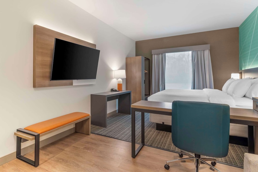 Suite, 1 King Bed (Handicapped Impaired) photo 3