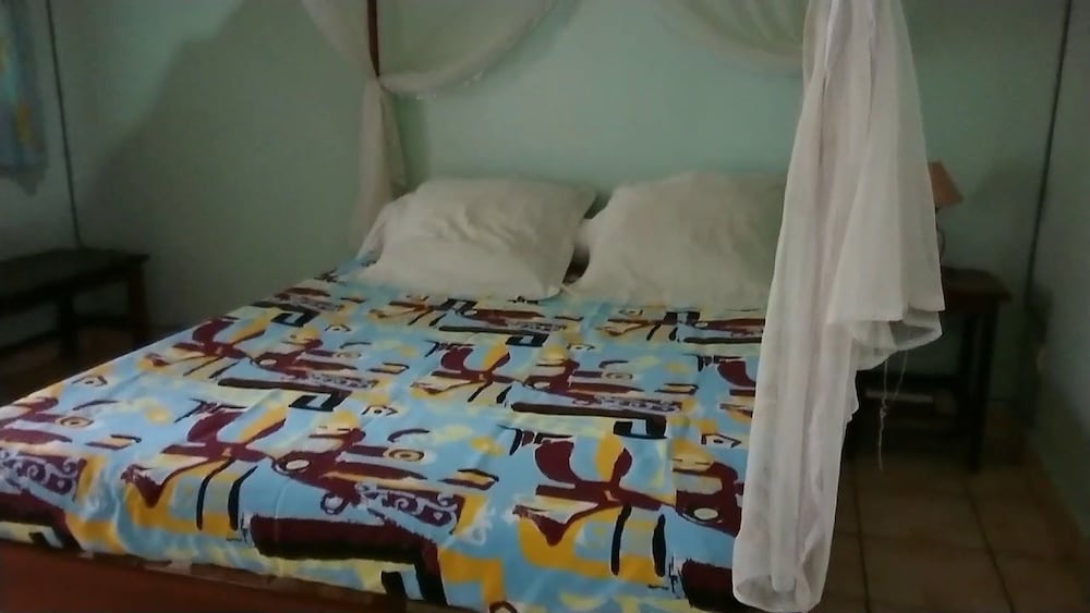 Classic Room, 1 Queen Bed photo 2