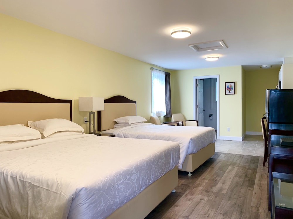 Premium Studio Suite
