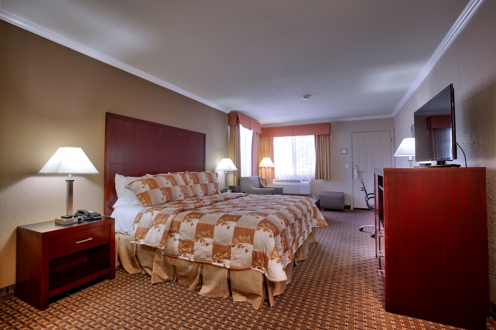 Single Room, 1 King Bed, Ground Floor photo 2