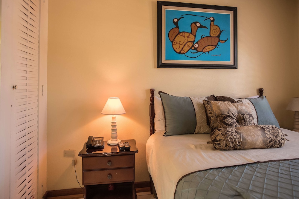 Comfort Apartment, 1 Bedroom