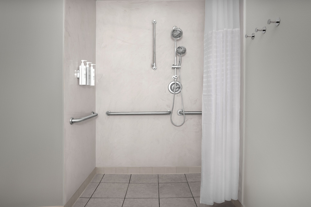 Room, 1 King Bed, Accessible (Mobility, Roll-In Shower) - Photo 2