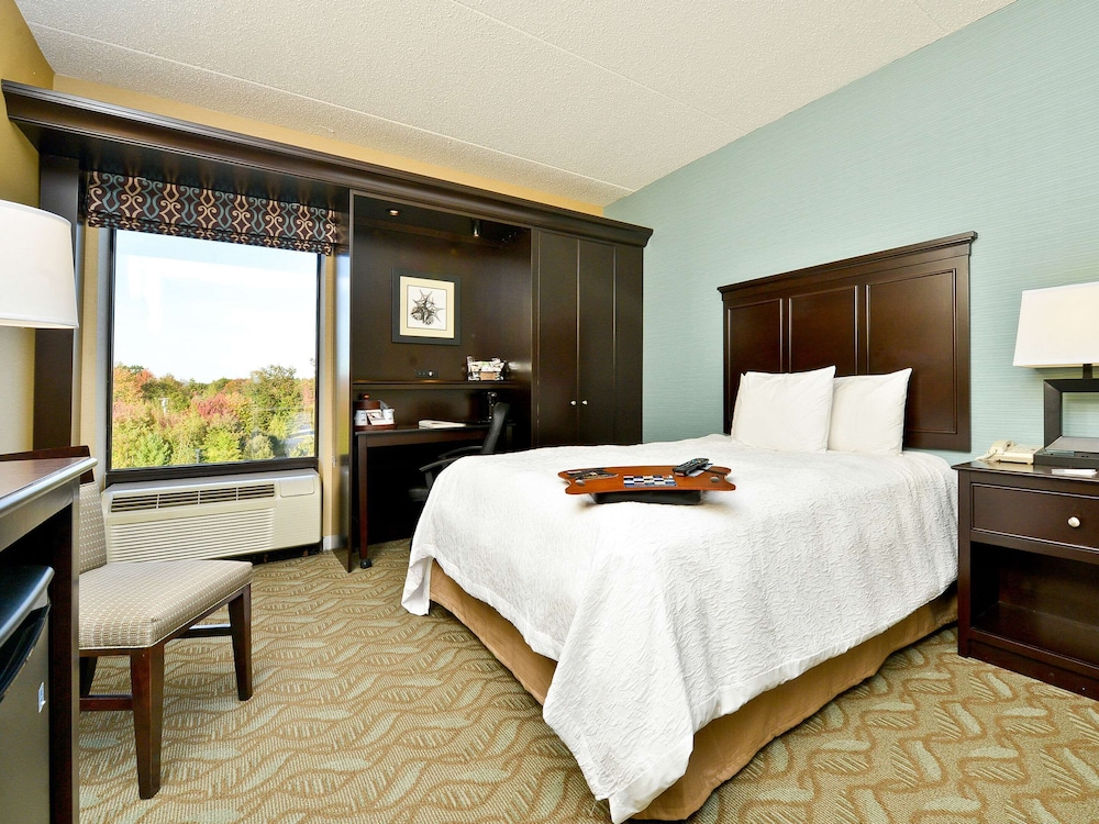 Standard Room, 1 King Bed with Sofa bed, Non Smoking photo 1