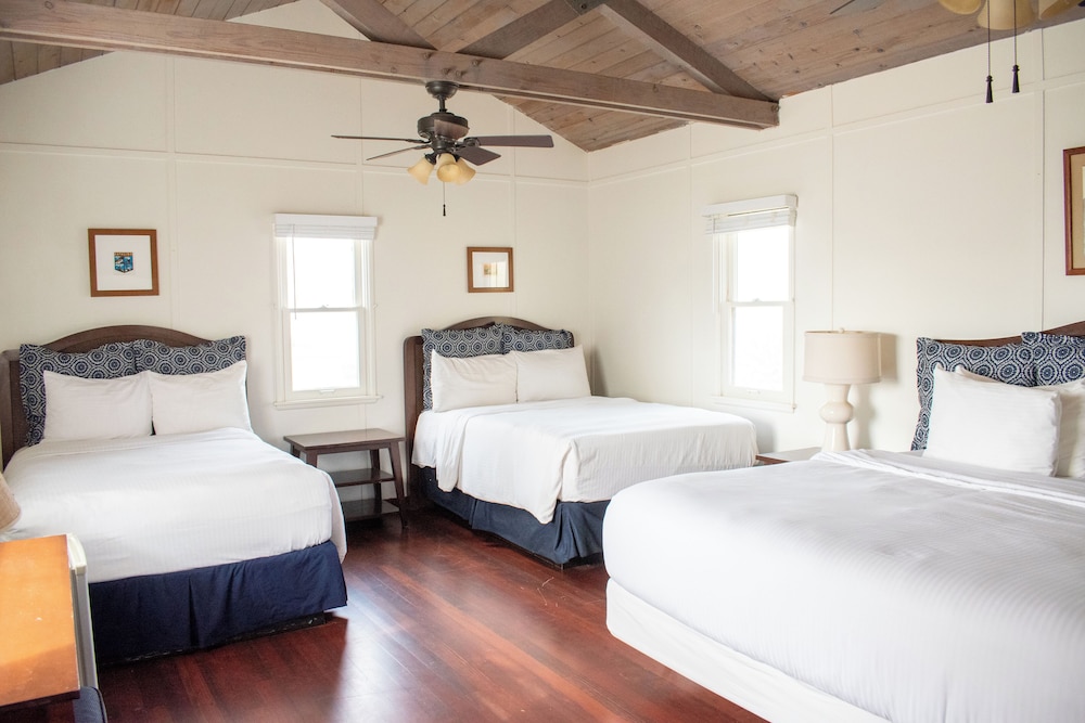 Room, Multiple Beds photo 1