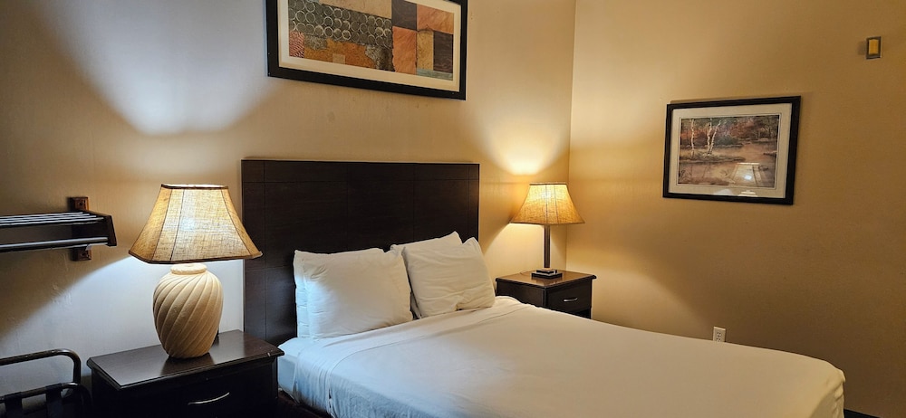 Deluxe Single Room, 1 Queen Bed, Accessible photo 3